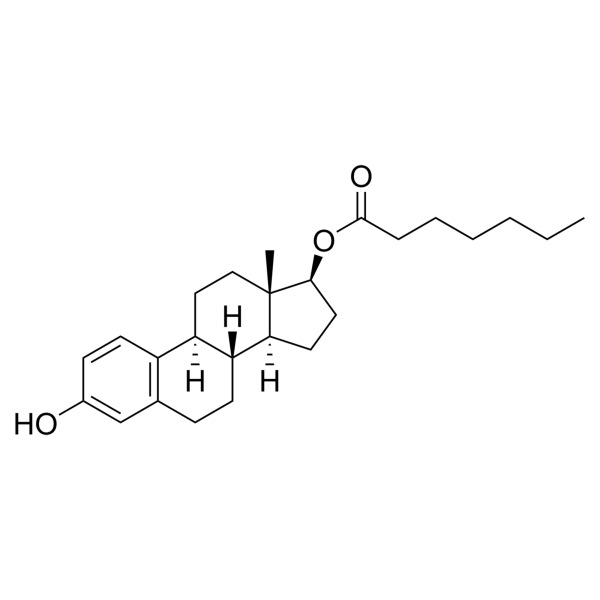 Estradiol Enanthate in Castor Oil